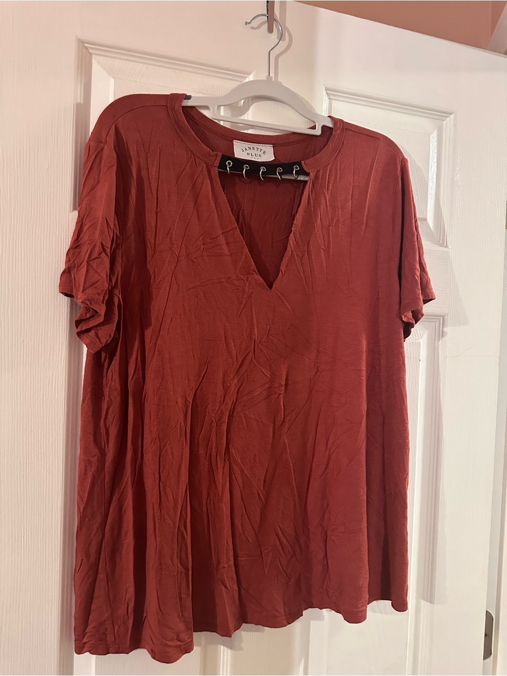 Janette Plus Women's Rust V-Neck Short Sleeve Tunic